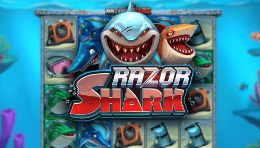 banner Razor Shark