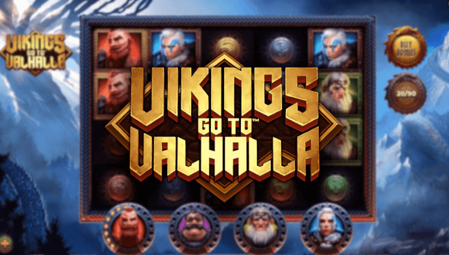 banner Vikings Go To Valhalla