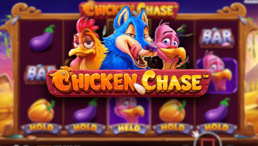 banner Chicken Chase