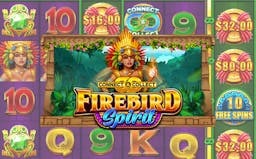 logo Firebird Spirit