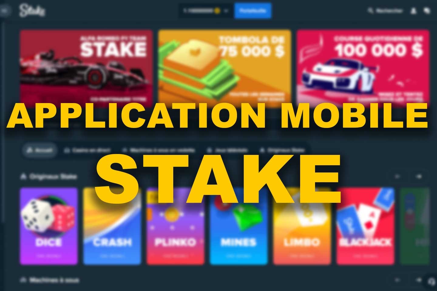 application mobile stake casino